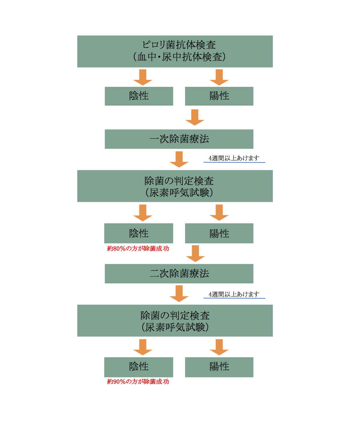 ピロリ菌検査の流れ