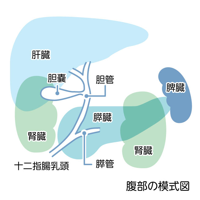 超音波
