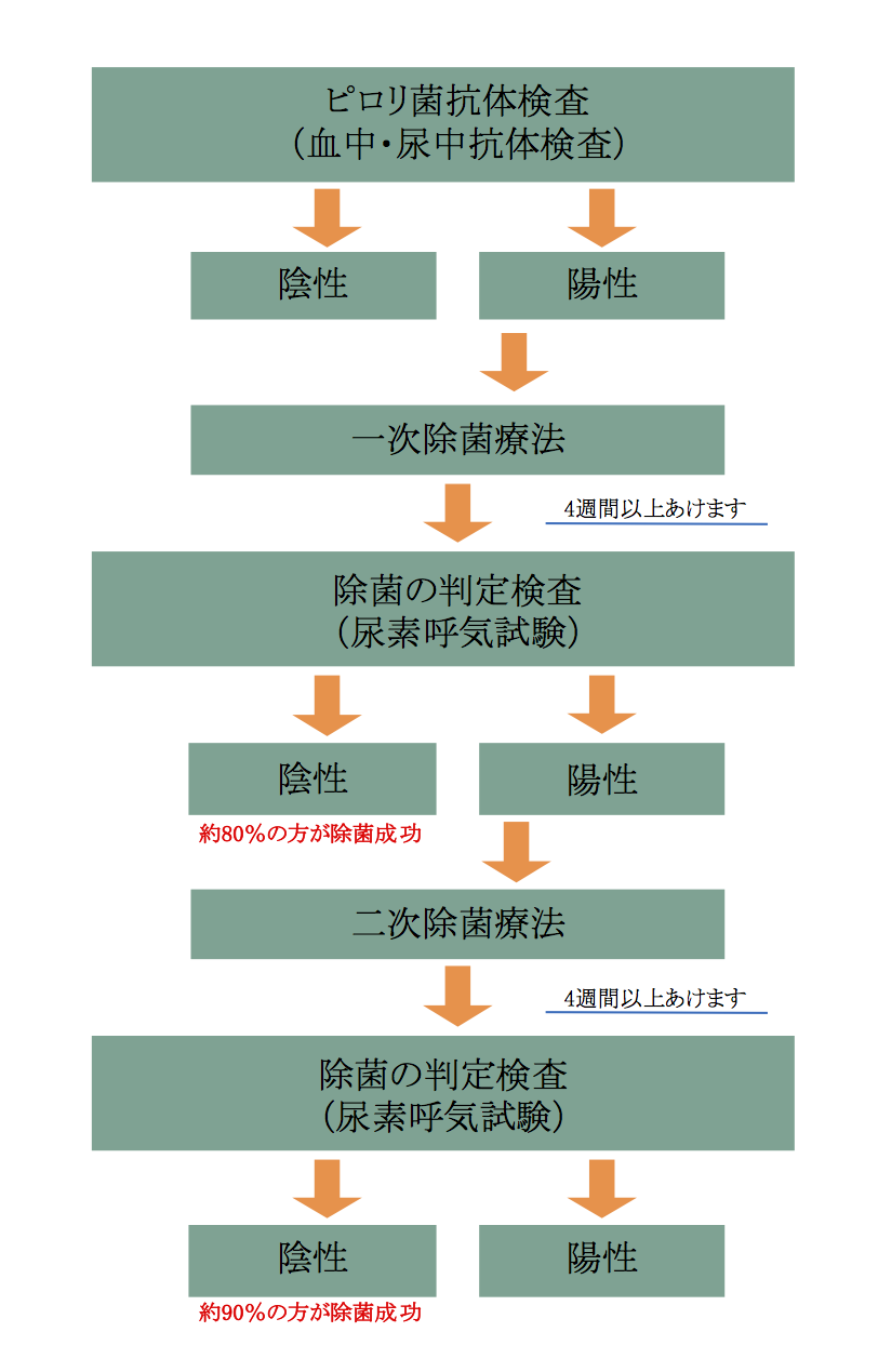 ピロリ菌検査の流れ