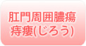 肛門周囲腫瘍痔瘻(じろう)